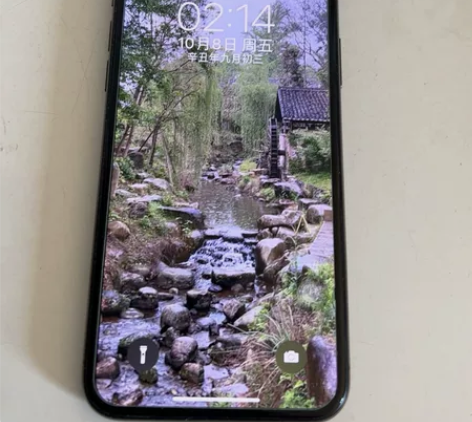 iPhoneX 64g 自用机，特别爱惜 ...