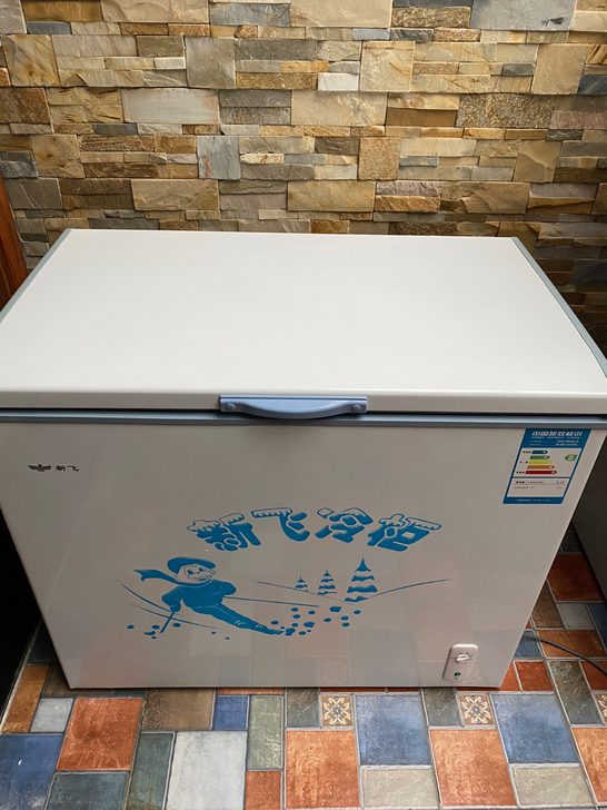 品牌型号 新飞冷柜 新旧程度 日常使...