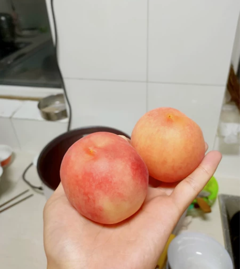 大学生期末考试辅导,会计财管审计类科目 感...