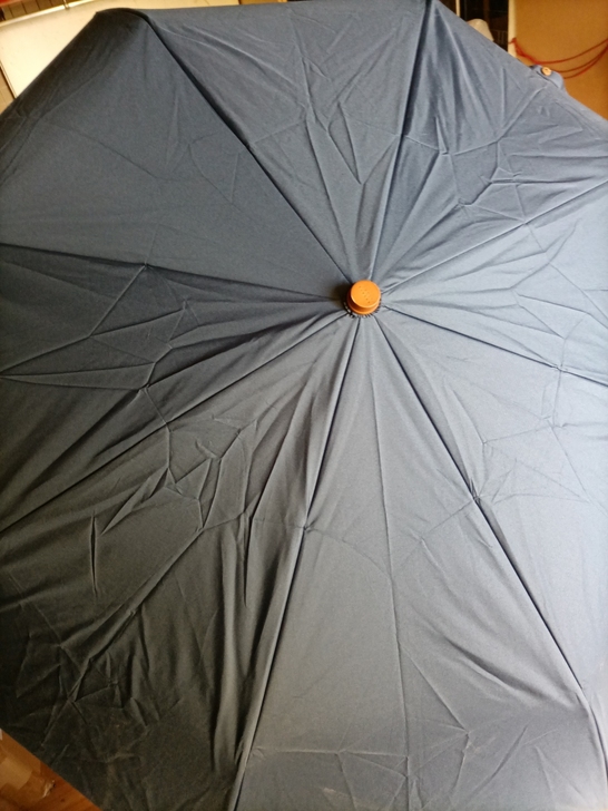 蕉下banana小黑伞，弯钩伞，全新单伞无...