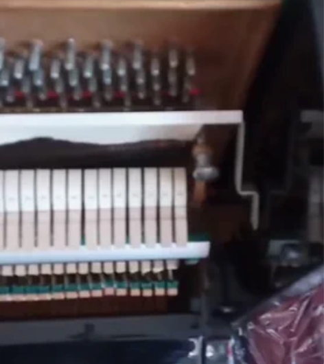 自家用珠江牌立式钢琴一台,8月份刚调律,换...