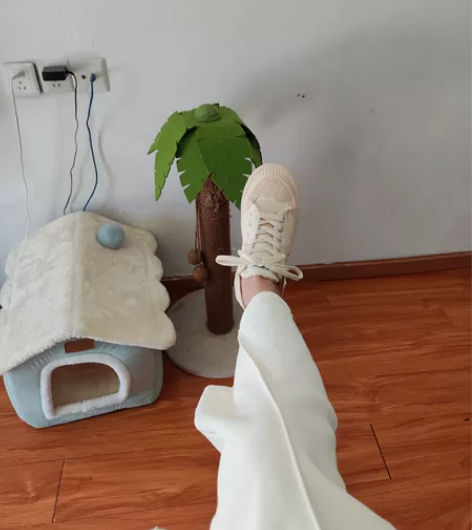 飞跃小白鞋，穿了一次 刚买的，在京东官方旗...