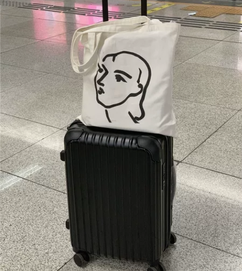 日本MARRLVE拉杆箱 26寸，仅搬家的...