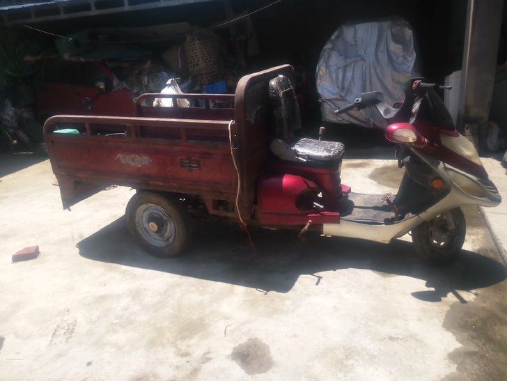 处理110汽油三轮车