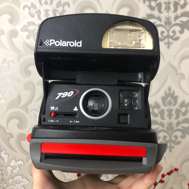 宝丽来600相机，使用宝丽来600相纸，成...