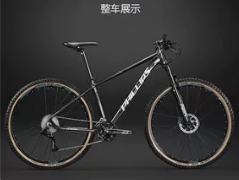 菲利普山地越野车：入手两个月、平时没怎么骑...