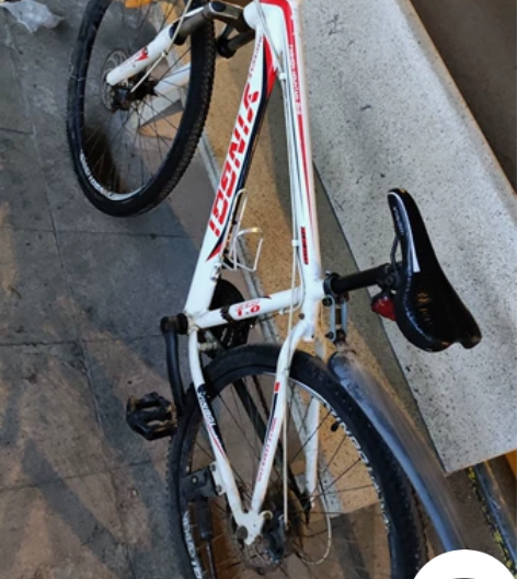 喜德盛旗下英骑山地车，26寸.21速，碟刹...