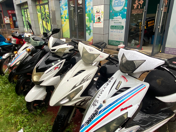 鬼火多多价格便宜