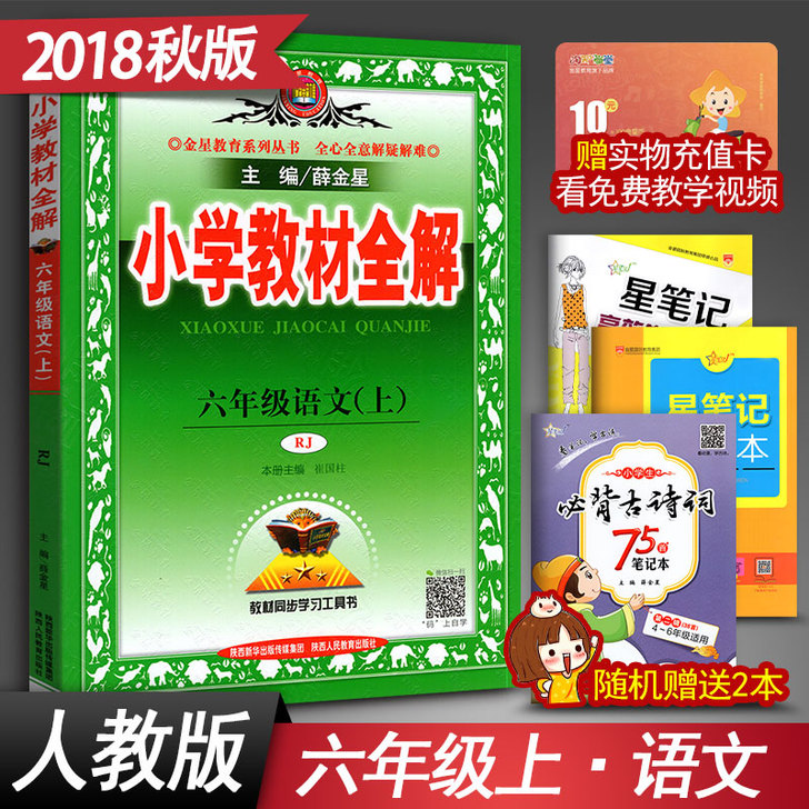 薛金星小学教材全解六年级上册语文