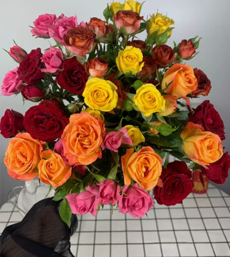 鲜花家庭插花【彩虹泡泡】 彩虹泡泡，一扎1...