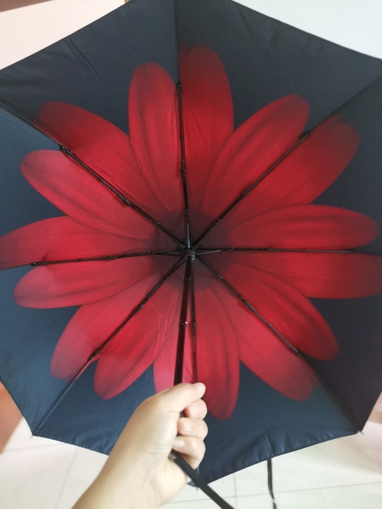 蕉下花型双层伞遮阳伞晴雨两用仓库里翻出来的...