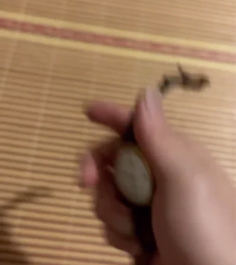 天王正品简约休闲气质石英腕表男女情侣手表皮...