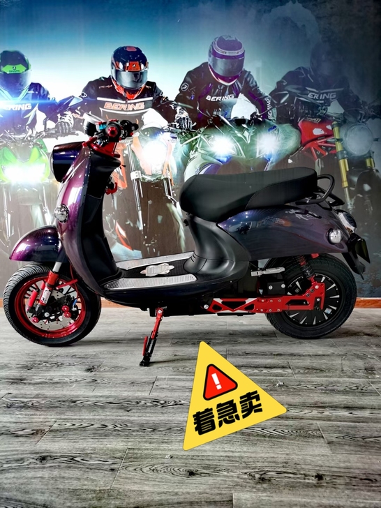 全新  120V小龟王电动车