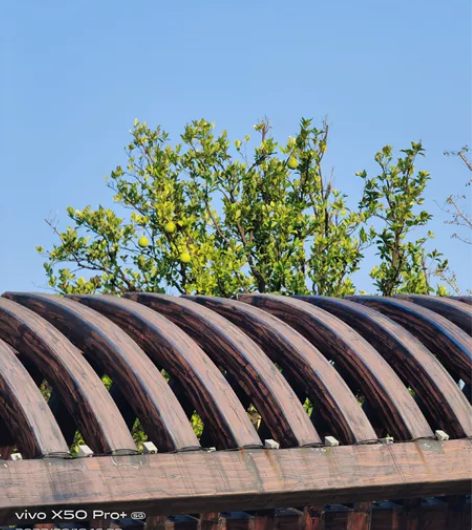 编程指导，在线辅导，c ，  c++，  ...