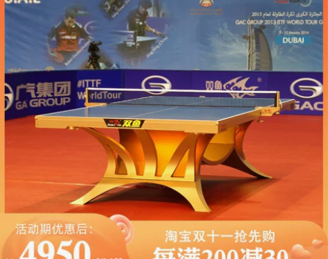 双鱼乒乓球 乒乓球展翅王桌展梦2台大赛室内