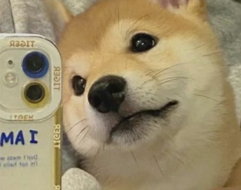 腾讯视频会员月卡直充 感兴趣的话点“我想要...