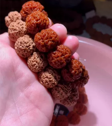 古龙梅花18-22尺寸，199一条，尺寸随...