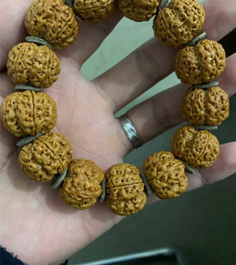 古龙树王梅花,21+密度高无尘打底 直接上...