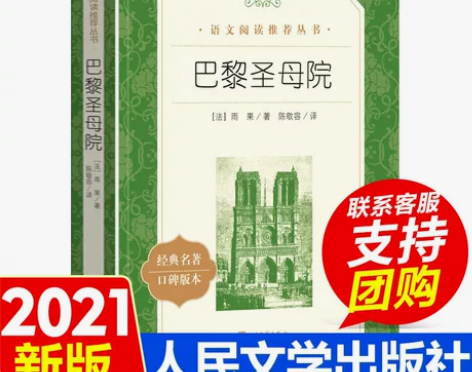 巴黎圣母院 巴黎圣母院原著书正版包邮 雨果...