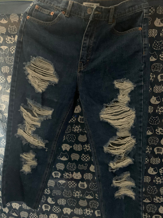 全新 pull##amp；amp；bear...