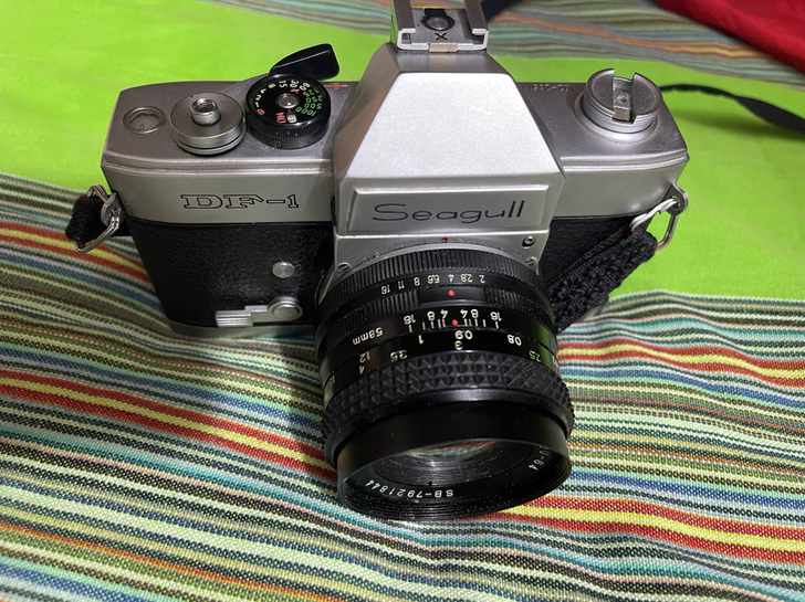 黑色海鸥DF-1相机，不太常见的品种，功能...