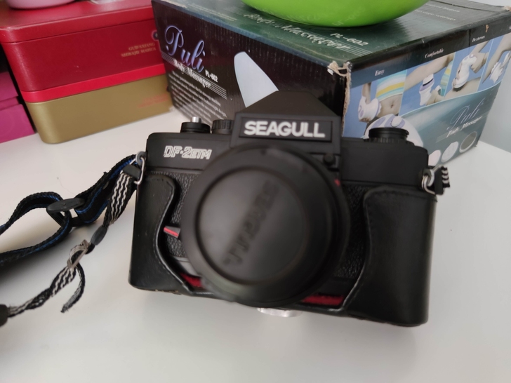 海鸥单反胶片相机，型号DF_200，性能良...