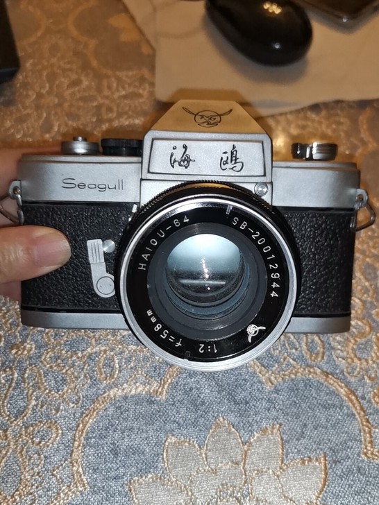 海鸥早期鸟标df7