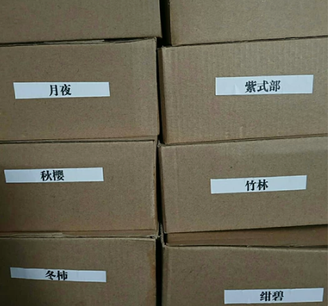 百乐墨水 百乐色彩雫 仓库尾货处理小样墨水...