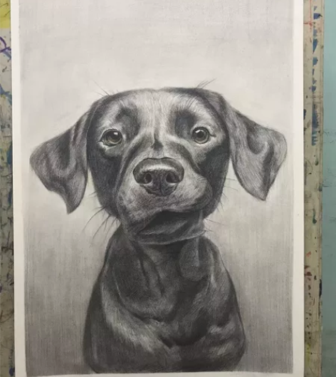 狗狗素描作品一张，纯手工绘制，60一张，包...