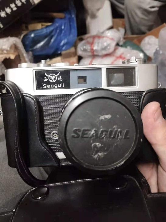海鸥相机。