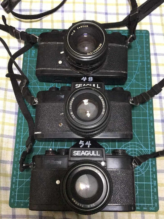 海鸥DF-2ETM 老式胶卷相机 SEAG...