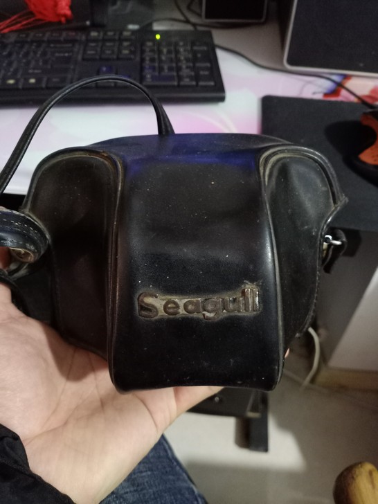 老海鸥相机，保真品相如图所示，估计还能正常...