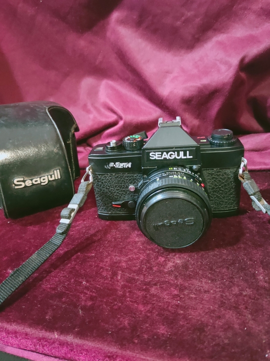 海鸥 /SEAGULL DF-2ETM 老...