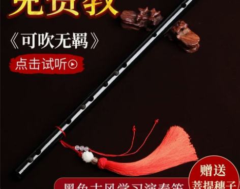 笛子竹笛初学乐器女生自学横笛专业高档精制演...