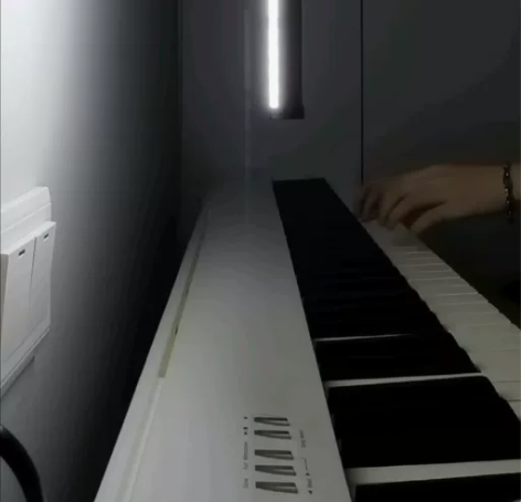 罗兰FP30X电钢琴，带琴架单踏，送钢琴包...