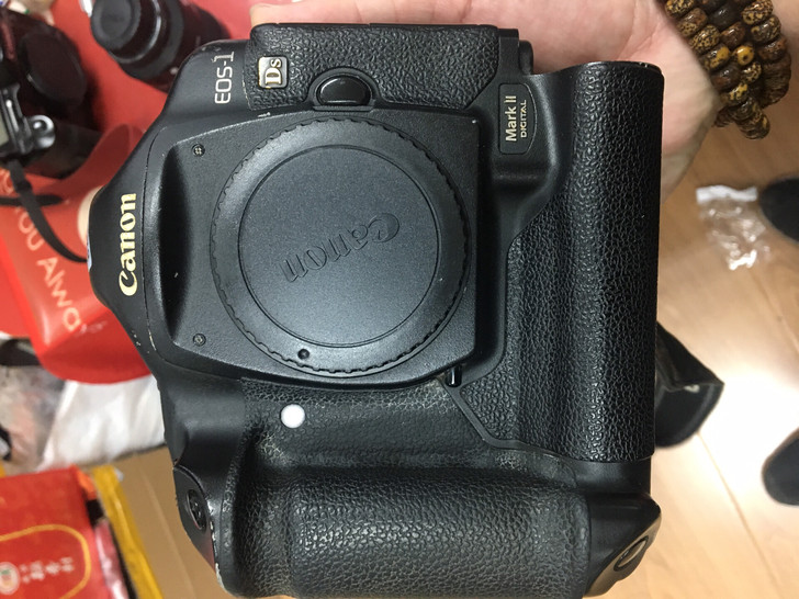 佳能EOS1Ds Mark ii