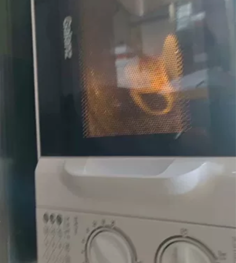 格兰仕微波炉,没用几次,便宜卖了 感兴趣的...