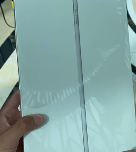 ipad 2021款 256G银色，全新未...