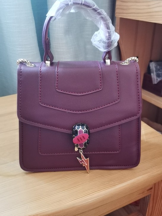 一只迷你手提蛇头