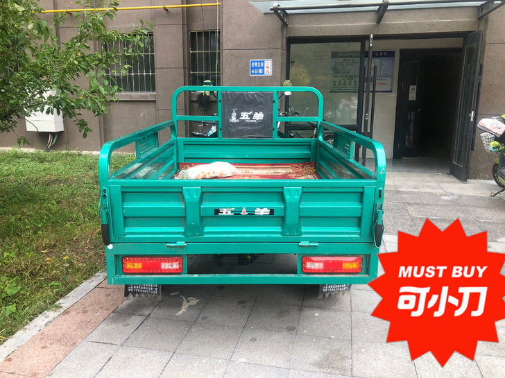 五羊电动车，入手两个月左右，基本全新，没怎...