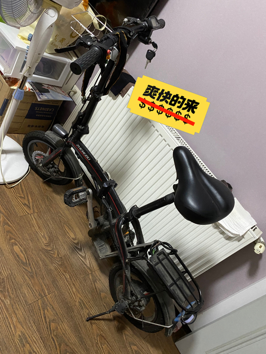 品牌型号 正步电动自行车