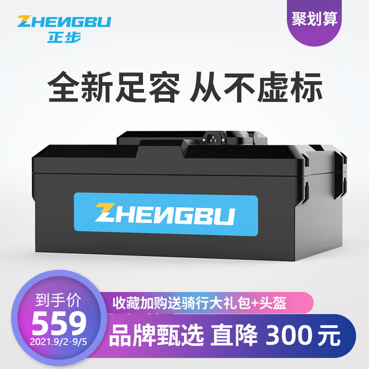 ZB/正步 电动车电池