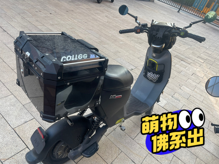 品牌型号 九号B110p，黑灰色，成色95...