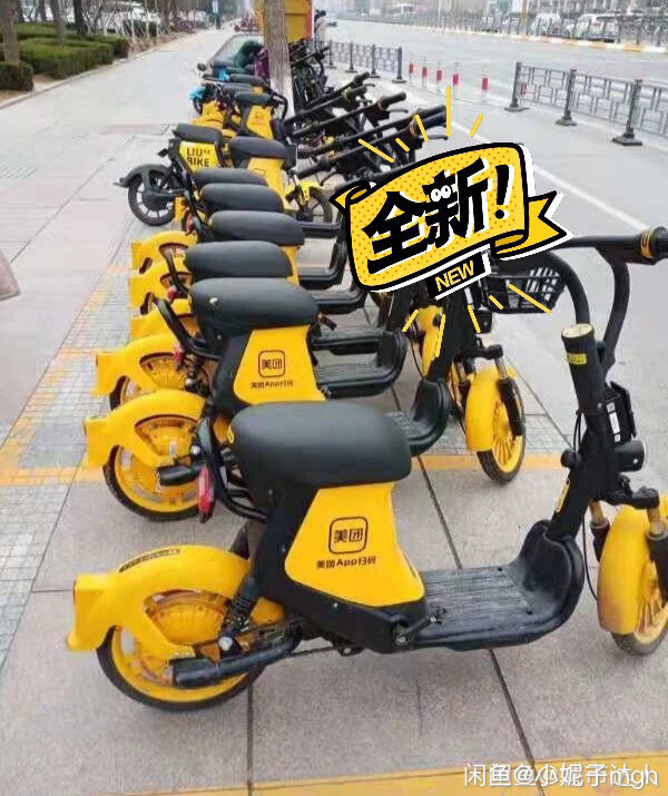 美    ～团电单车  /全国