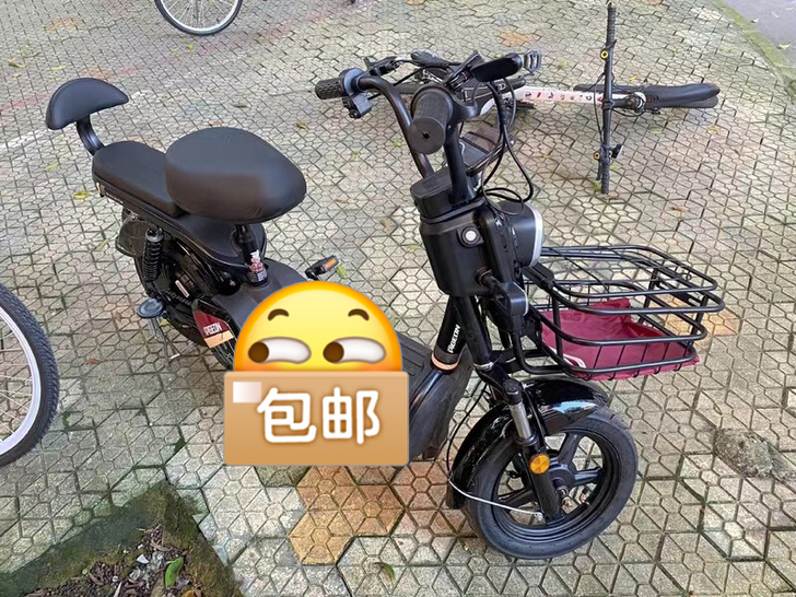 [全新未拆封]飞歌新国际新款锂电池电动车小...
