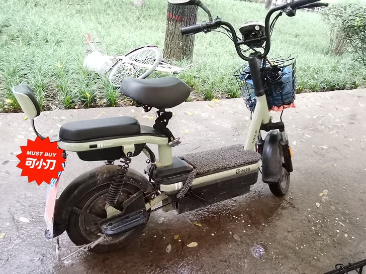 品牌型号 ：台铃电动车48伏20安。