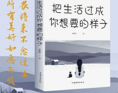 正版 把生活过成你想要的样子 成功励志青春...
