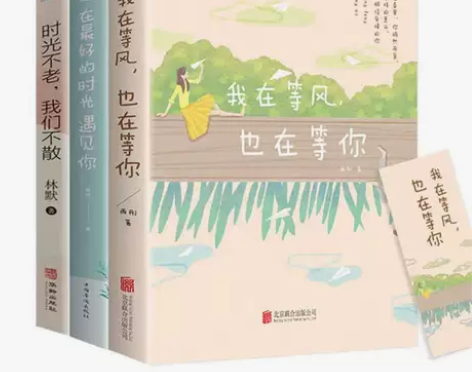 我在等风也在等你 雨彤著 都市言情青春文学...