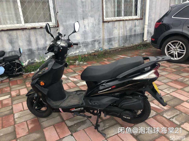 2019公户