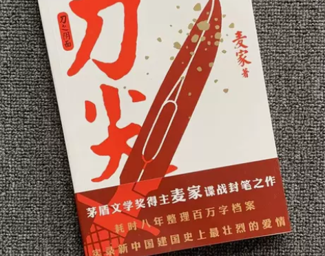 刀尖:刀之阴面?历史小说 刀尖:刀之阴面?...